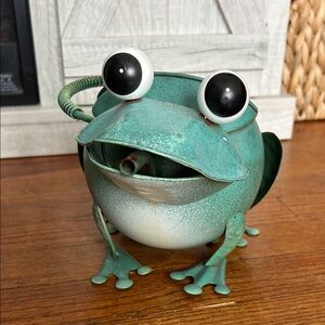 Green Frog Watering Can